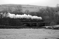 TA25 51DM_NikonDf_AFNikkor50D