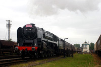 NG30 01D_300D_Flektogon35