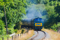 VF25 13DC_NikonDf_AF-SNikkor28-300G@300mm