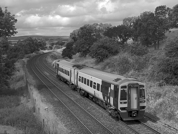 UF26 54DM_NikonDf_AF-Nikkor50D