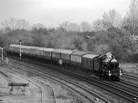 UL11  52DM_NikonDf_AF-SNikkor28-300@210mm