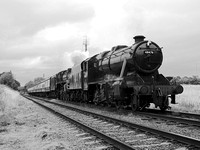 RH12 84DM_NikonDf_Nikkor50D