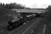 QD08 77DM_6D_EF50