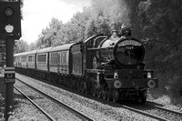 SH18 52DM_NikonDf_AF-SNikkor28-300G