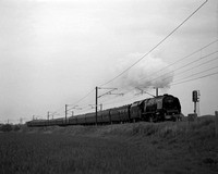 NE04 53M_Pentax67_D400_Takumar105