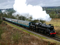 76084