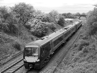 SE05 52DM_NikonDf_AFNikkor50D