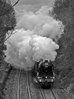 WL13 54DM_Canon6D_EF70-300L@135mm