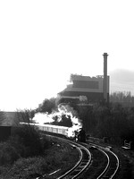 SL21 53DM_Canon6D_EF85