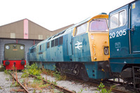 D1048 WESTERN LADY