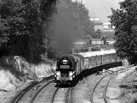 RG14 54DM_Canon6D_EF70-300L