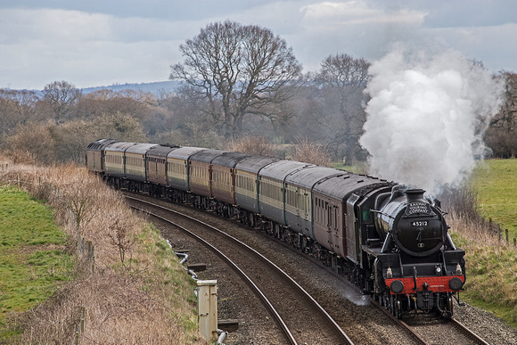 YC15 06DC_Canon6D_EF70-300L@300mm