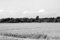 PH28 59DM_6D_EF70-300L