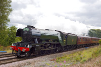 QI15 06DC_6D_EF50