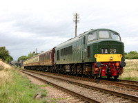 MI15 29D_300D