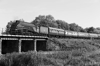 RI01 52DM_Canon6D_EF85