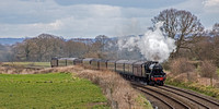 YC15 05DC_Canon6D_EF70-300L@300mm
