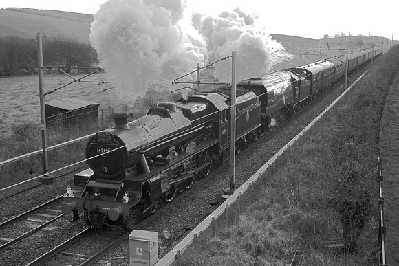 VA29 54DM_NikonDf_AF-Nikkor50D