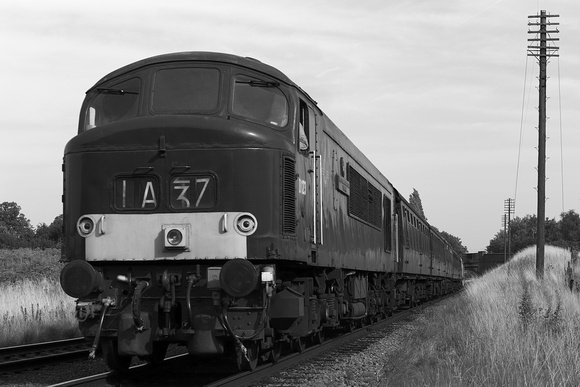 OH23 51DM_6D_EF85