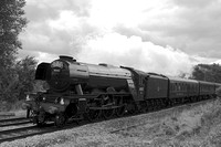 QI15 56DM_6D_EF50