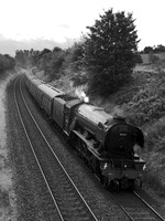 QG29 53DM_500CM_P21_Planar80