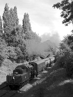 SF22 51DM_500CM_P21_Planar80