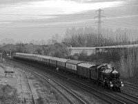 UL11  53DM_NikonDf_AF-SNikkor28-300@116mm