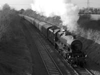 RB24 55DM_2000FC_CFV50c_Planar80