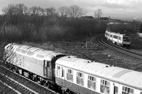 SL21 67DM_Canon6D_EF85