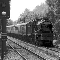 SH18 51DM_NikonDf_AF-SNikkor28-300G