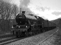 TB29 70DM_NikonDf_AFNikkor50D