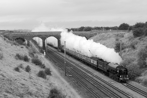 PJ08 53DM_6D_EF70-300L