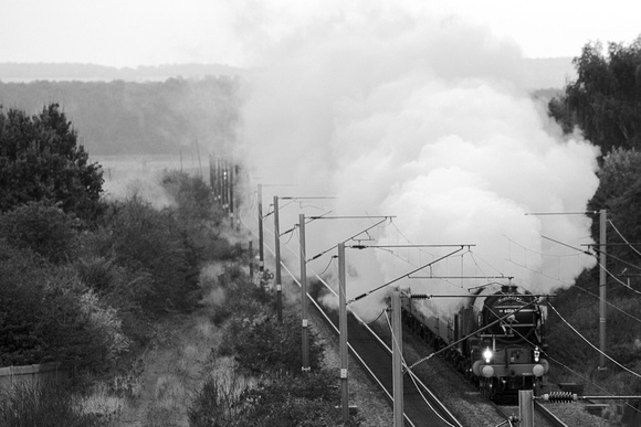 PJ08 57DM_6D_EF70-300L