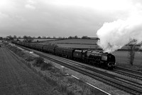 OL19 58DM_6D_EF50
