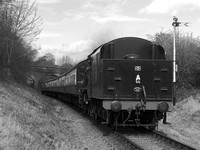 TC08 52DM_2000FC-B_P21+_S-Planar120