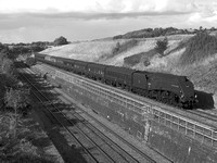 RH25 55DM_2000FC_CFV50c_Planar100