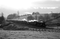 RK10 54DM_NikonDf_Nikkor50D