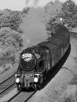RI29 63DM_Canon6D_EF70-300L