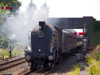 RH25 02DC_Canon6D_EF70-300L