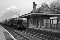 UL11  58DM_NikonDf_AF-Nikkor50D