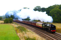 OH08 02DC_6D_Takumar105