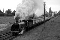 PE29 51DM_6D_EF85