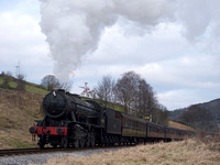 90733