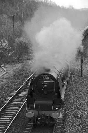 SC09 57DM_NikonDf_NikkorAF-S28-300G