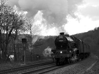 TB29 68DM_Canon6D_EF85