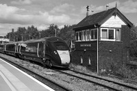 TI12  54DM_NikonDf_AF-SNikkor 28-300G@58 mm