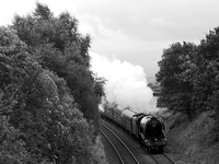 QG29 54DM_6D_EF85