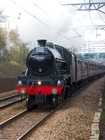TB29 10DC_NikonDf_AF-SNikkor28-300G