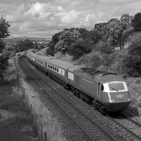 UF26 58DM_NikonDf_AF-Nikkor50D