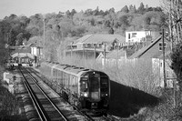 TB08 51DM_NikonDf_AF-SNikkor28-300G